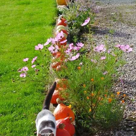 Les Pierres De Petreval - La Grange Bed & Breakfast Mentheville