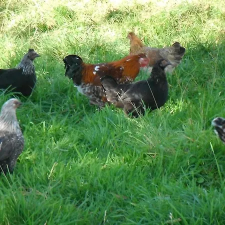 Les Pierres De Petreval - La Grange Mentheville