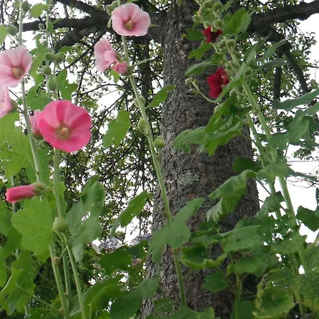 Les Pierres De Petreval - La Grange Mentheville