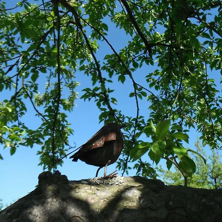 Bed & Breakfast Les Pierres De Petreval - La Grange